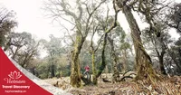 Tour trekking leo núi Khang Su Văn 3N2Đ