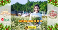 Tour du lịch miền Tây Đồng Tháp - Chùa Lá Sen 2N1Đ Tết Dương Lịch 2026