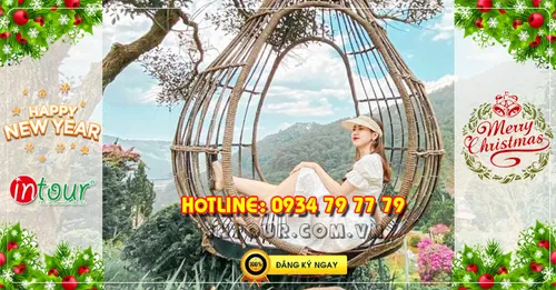 Tour du lịch Đà Lạt 3N2Đ Tết Dương Lịch 2026