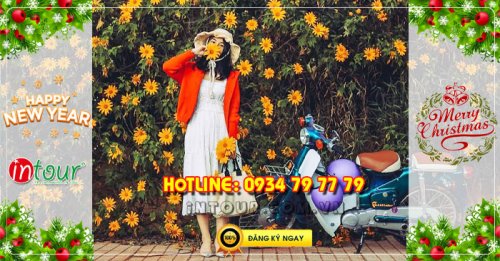 Tour du lịch Đà Lạt 3N3Đ Tết Dương Lịch 2026