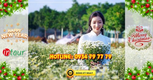 Tour du lịch miền Tây Đồng Tháp - Chùa Lá Sen 2N1Đ Tết Dương Lịch 2026