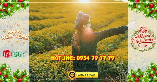 Tour du lịch Sapa Điện Biên Mộc Châu Mai Châu 4N3Đ Tết Dương Lịch 2026