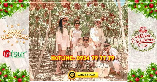 Tour du lịch Ninh Chữ Vĩnh Hy 2N2Đ Tết Dương Lịch 2026