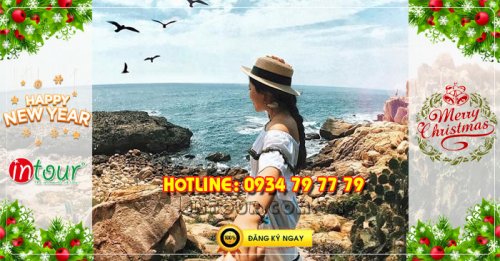 Tour du lịch Ninh Chữ - Vịnh Vĩnh Hy - Đảo Bình Hưng 2N2Đ Tết Dương Lịch 2026