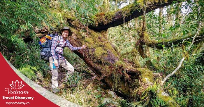 Tour trekking leo núi Pu Ta Leng 3N2Đ