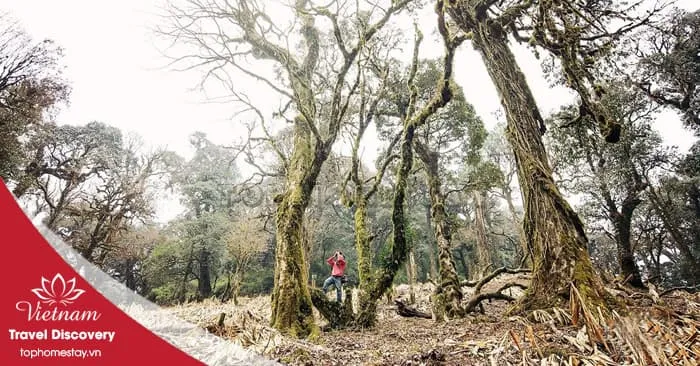Tour trekking leo núi Khang Su Văn 3N2Đ