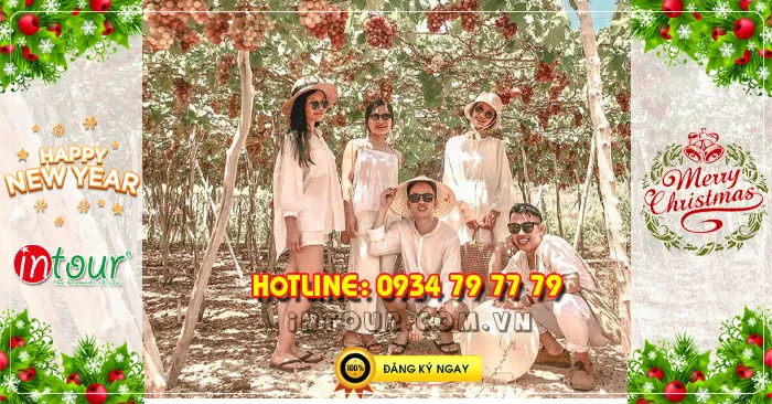 Tour du lịch Ninh Chữ Vĩnh Hy 2N2Đ Tết Dương Lịch 2026